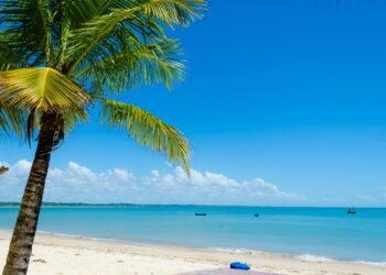 Descubra as 5 melhores praias para sua próxima viagem paradisíaca