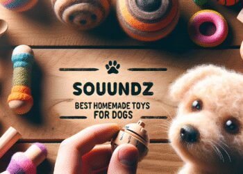 Os Melhores Brinquedos Caseiros Para Cachorros